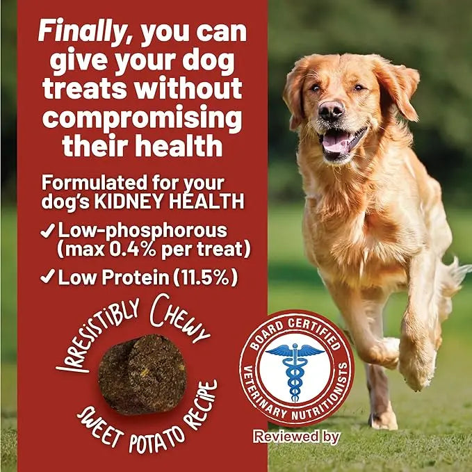 Dave's Pet Food Renal-Friendly Sweet Potato Grain-Free Soft & Chewy Dog Treats 5oz Dave's Pet Food