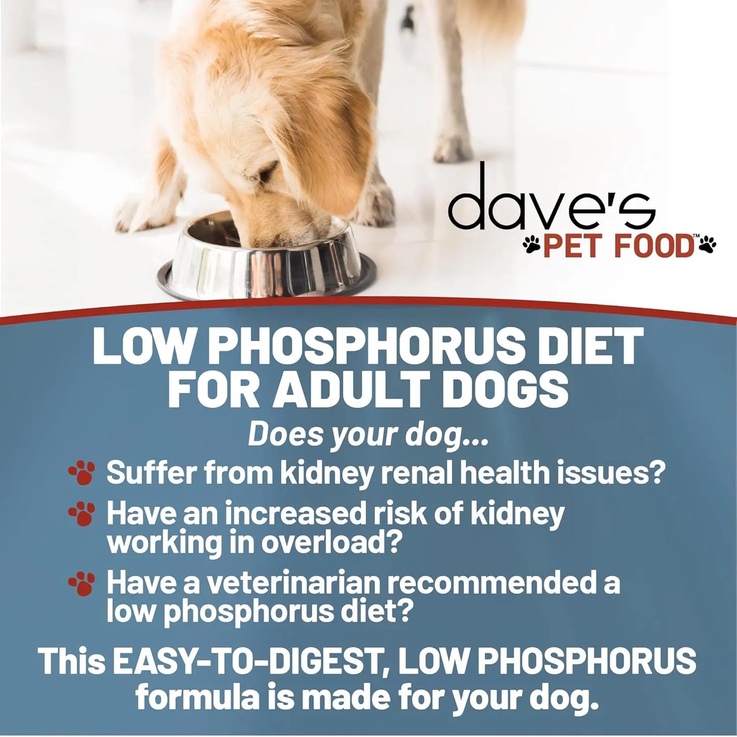 Dave's Pet Food Restricted Phosphorus Chicken Formula Kidney Support Dog Food 4LB Dave's Pet Food