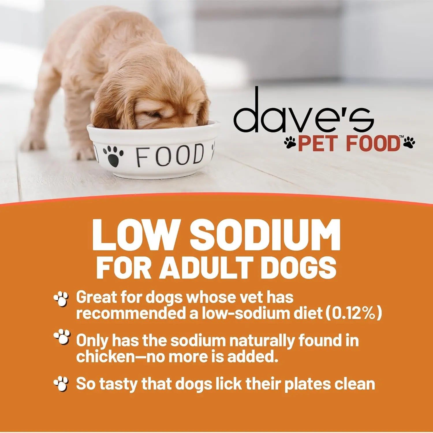 Dave's Pet Food Restricted Sodium Chicken Recipe Grain-Free Wet Dog Food 12ea/13 oz Dave's Pet Food