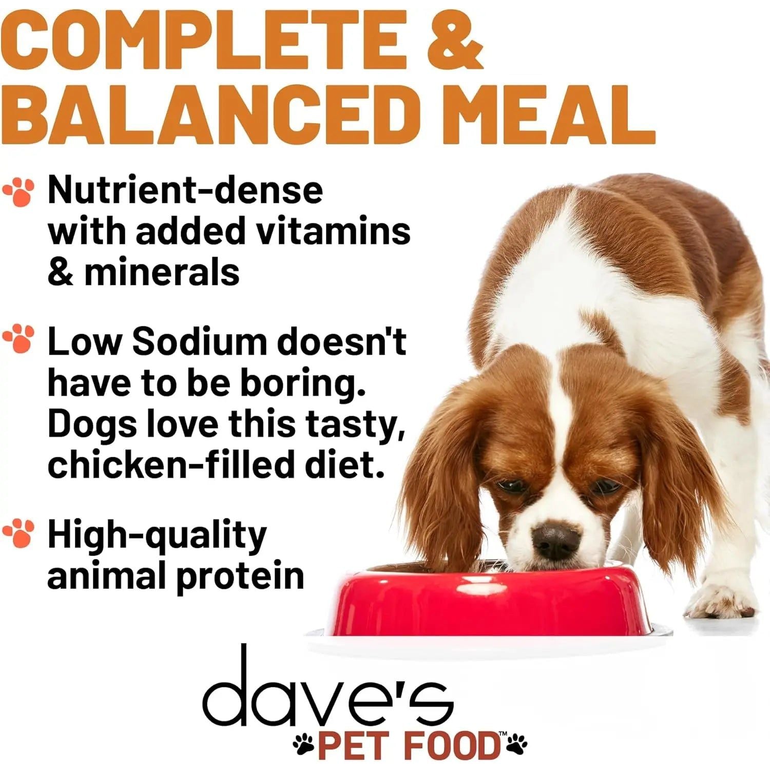 Dave's Pet Food Restricted Sodium Chicken Recipe Grain-Free Wet Dog Food 12ea/13 oz Dave's Pet Food