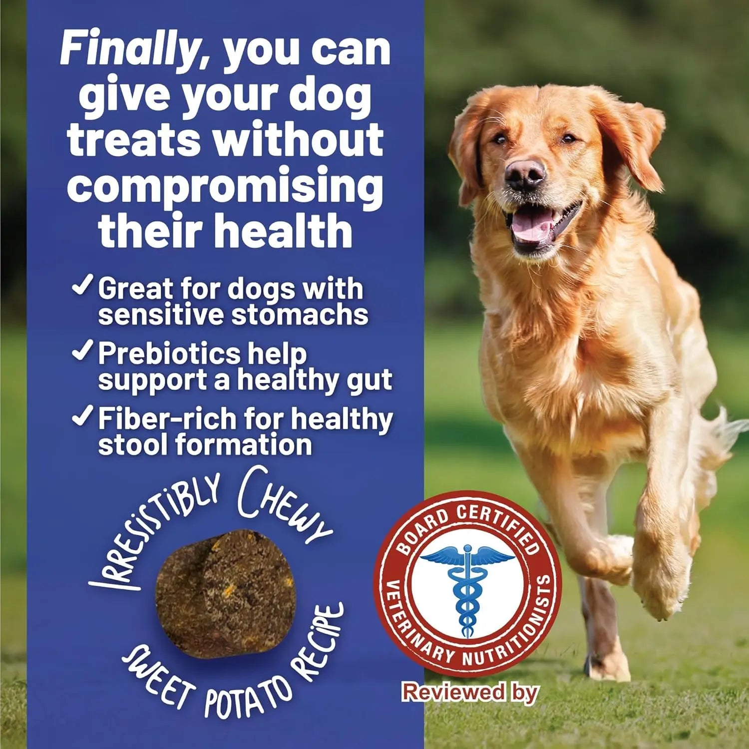 A golden retriever runs on grass. Text reads, “Finally, you can give your dog Dave’s Pet Food Sensitive Stomach Sweet Potato & Pumpkin Grain-Free Soft & Chewy Dog Treats—supporting digestion with prebiotics.” An image of the chewy treat is shown.