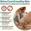 Dave's Pet Food Skin & Coat Support Chicken & Sweet Potato Recipe Pate Wet Dog Food 12ea/13 oz Dave's Pet Food