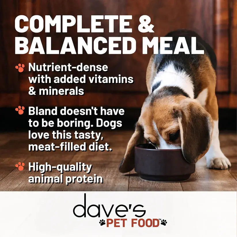 Dave's Restricted Diet Bland Chicken & Rice Dinner Canned Dog Food 12ea/13 oz Dave's Pet Food