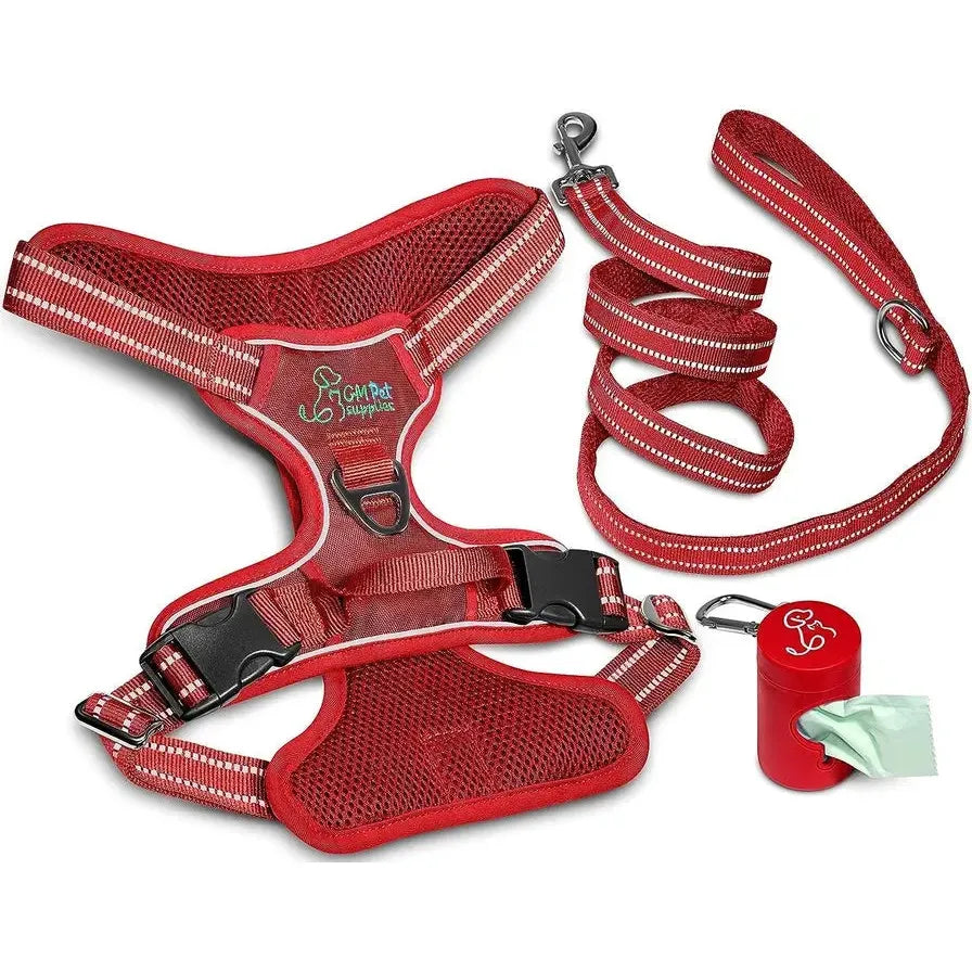 Dog Harness Walking Kit and Leash Set Katziela