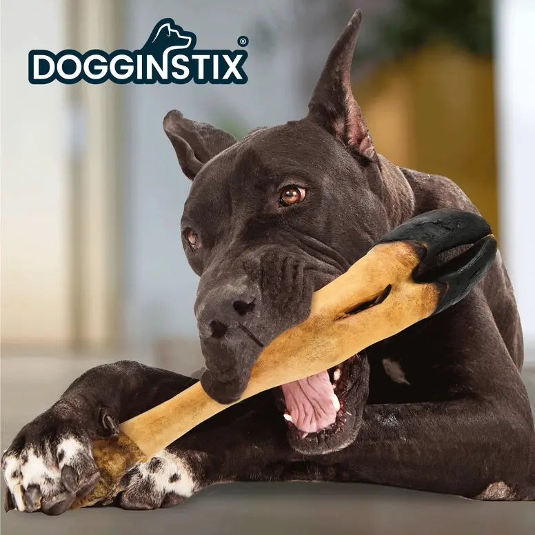 Dogginstix Odor Free Beef Feet - Beef Trotter Dog Chews Case of 20 Dogginstix