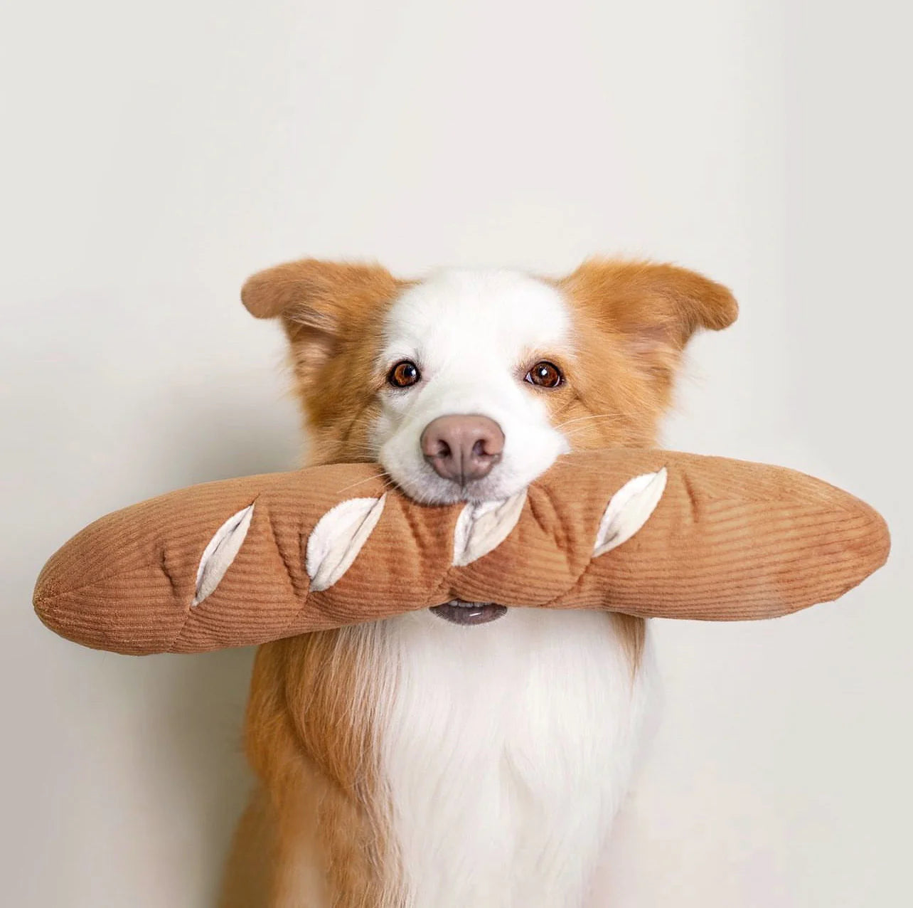 Lambwolf Collective Baguette Squeaky Interactive Dog Toys