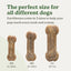 Earthbones Dental Chews For Dogs Presidio Natural