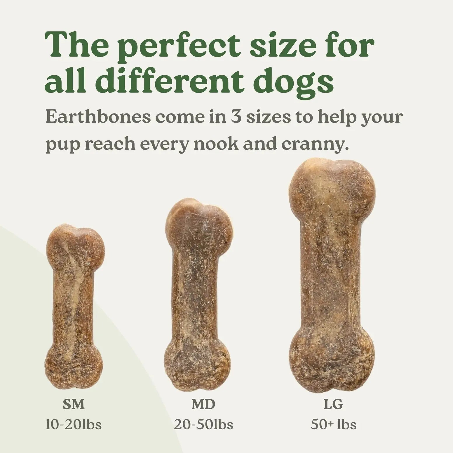 Earthbones Dental Chews For Dogs Presidio Natural