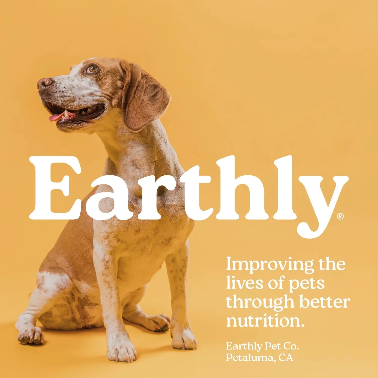 Earthbones Dental Chews For Dogs Presidio Natural