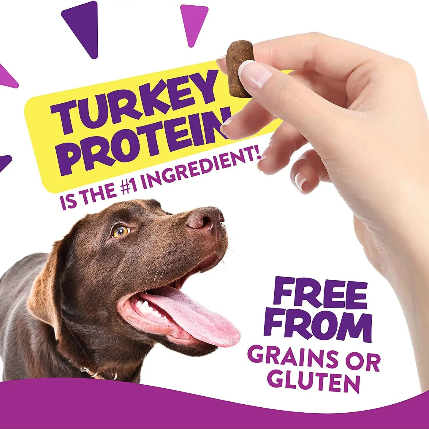 Earthborn Holistic EarthBites Hip & Joint Grain-Free Turkey Soft Dog Treats 7.5 oz Earthborn Holistic