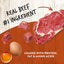 Earthborn Holistic Grain Free K95 Meat Protein Wet Dog Food 12ea/13 oz Earthborn Holistic