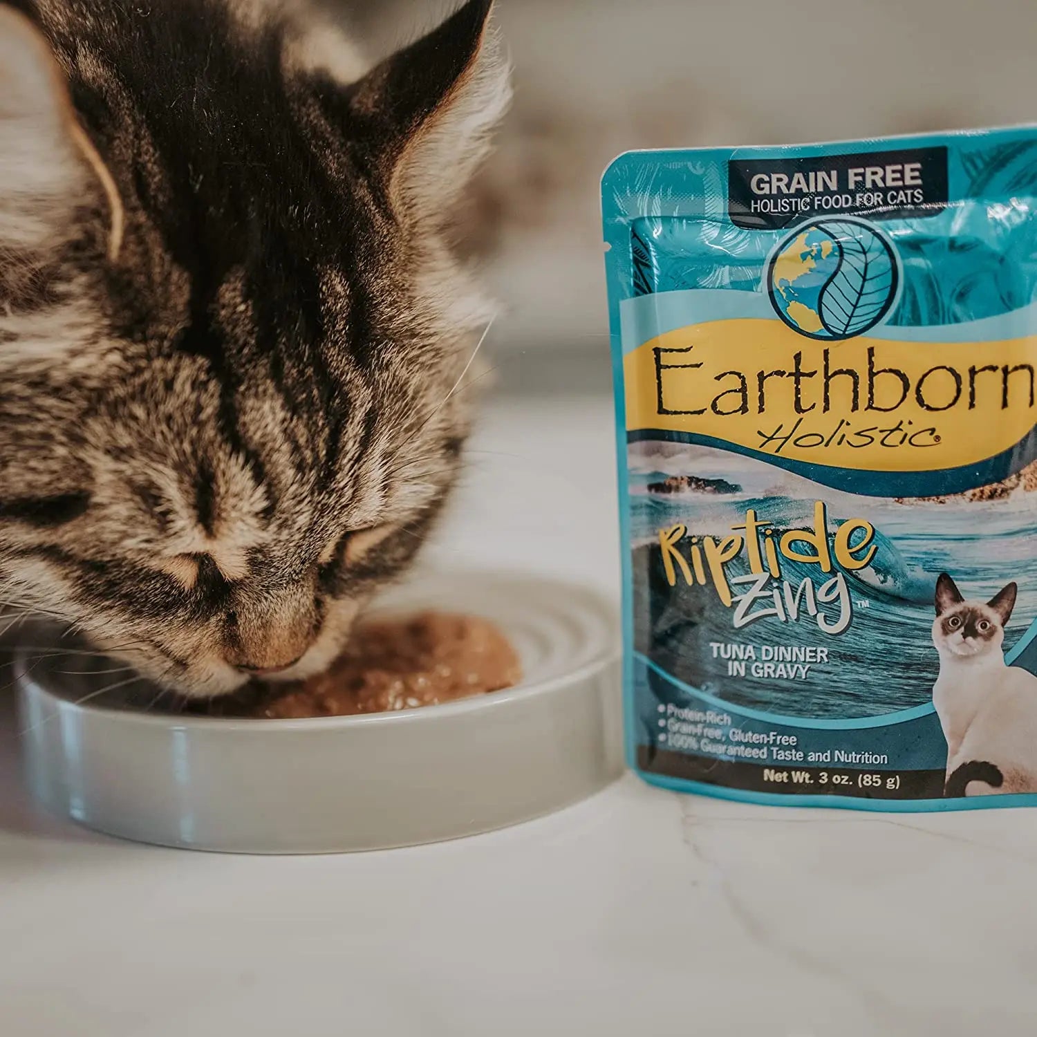 Earthborn Holistic Grain Free Riptide Zing Wet Cat Food 24ea/3 oz Earthborn Holistic