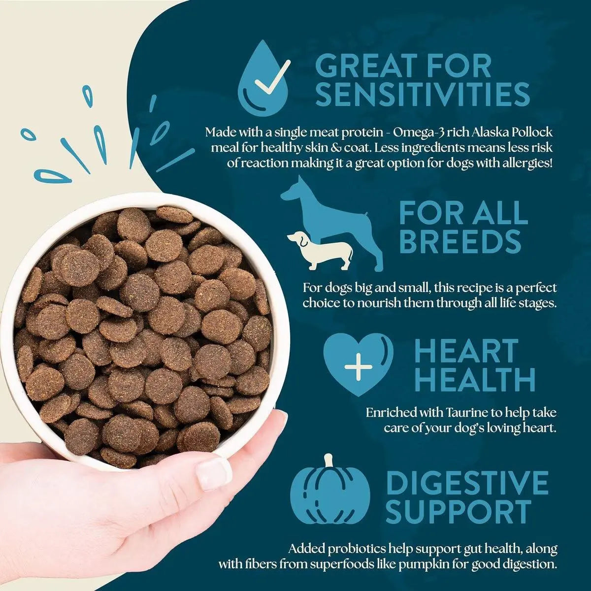 Earthborn Holistic Venture Limited Ingredient Alaska Pollock Meal & Pumpkin Grain-Free Dry Dog Food Earthborn Holistic
