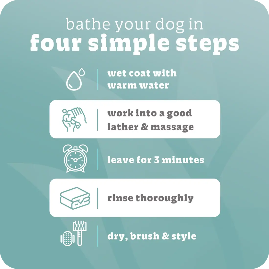Infographic titled “Bathe your dog in four simple steps” with icons: wet coat with warm water, lather with Espree 2in1 Bright White Dog Shampoo 20 oz, leave for 3 minutes, rinse thoroughly, then dry, brush, and style.