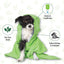 A black and white dog wrapped in a green towel is shown with icons for Tea Tree Scent, Cleans & Conditions, and Calms Itching & Irritation. Espree 2in1 Intense Itch Relief Dog Shampoo gently soothes itching, set on a light leaf pattern background.