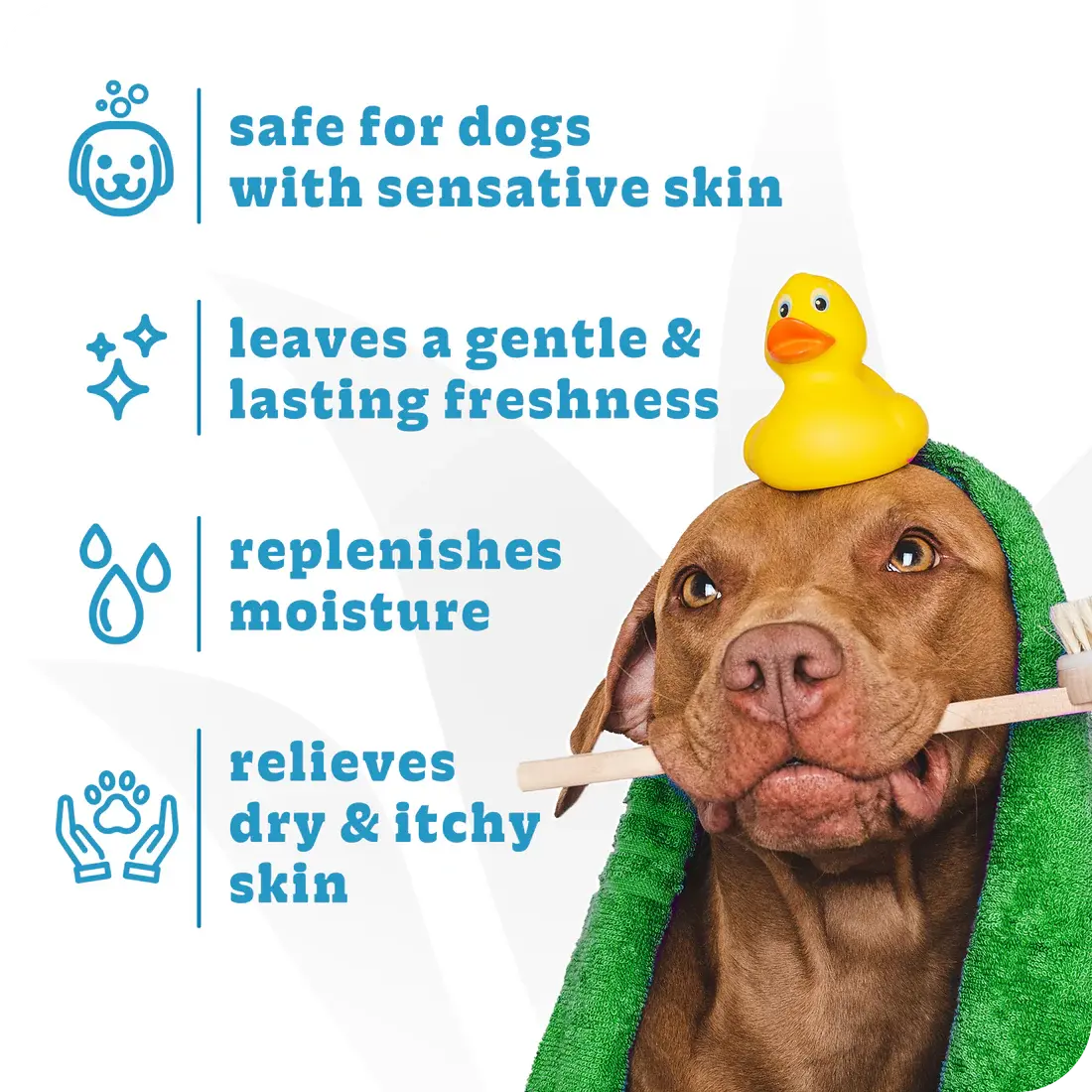 A brown dog with a towel and rubber duck on its head holds a brush in its mouth. Espree 2in1 Simple Shed Dog Shampoo 20 oz: safe for sensitive skin, reduces shedding, soothes itching, restores moisture, and keeps pets fresh.