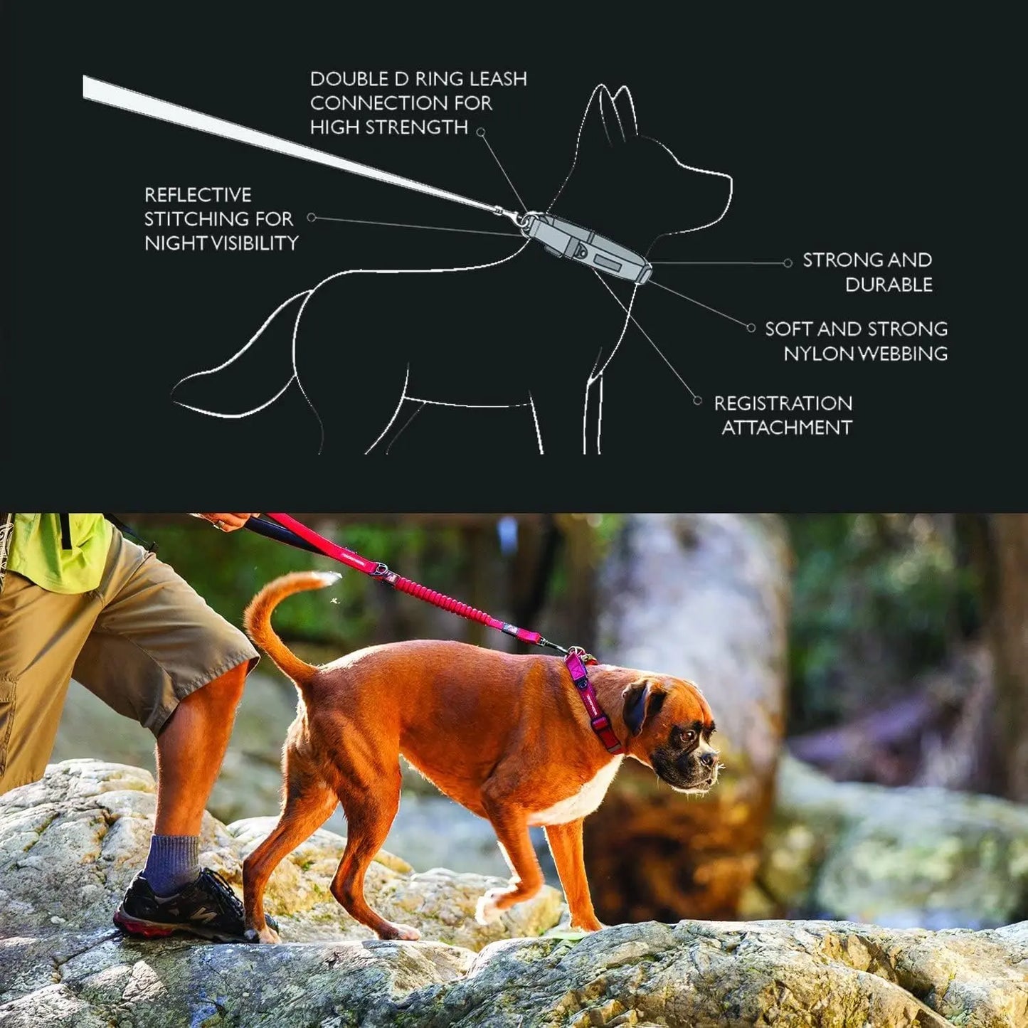 EzyDog Double Up Premium Nylon Dog Collar with Reflective Stitching EZY Dog