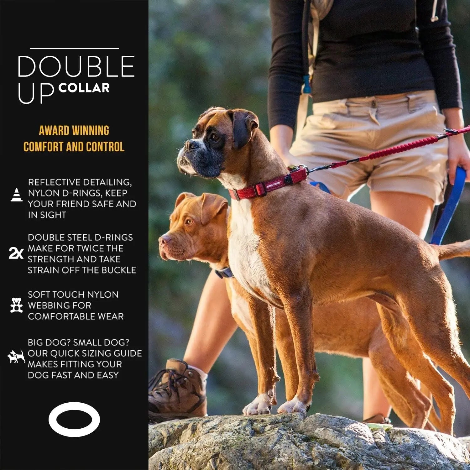 Double up dog sales collar