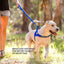 EzyDog Premium Quick Fit Adjustable No-Pull Dog Harness EZY Dog