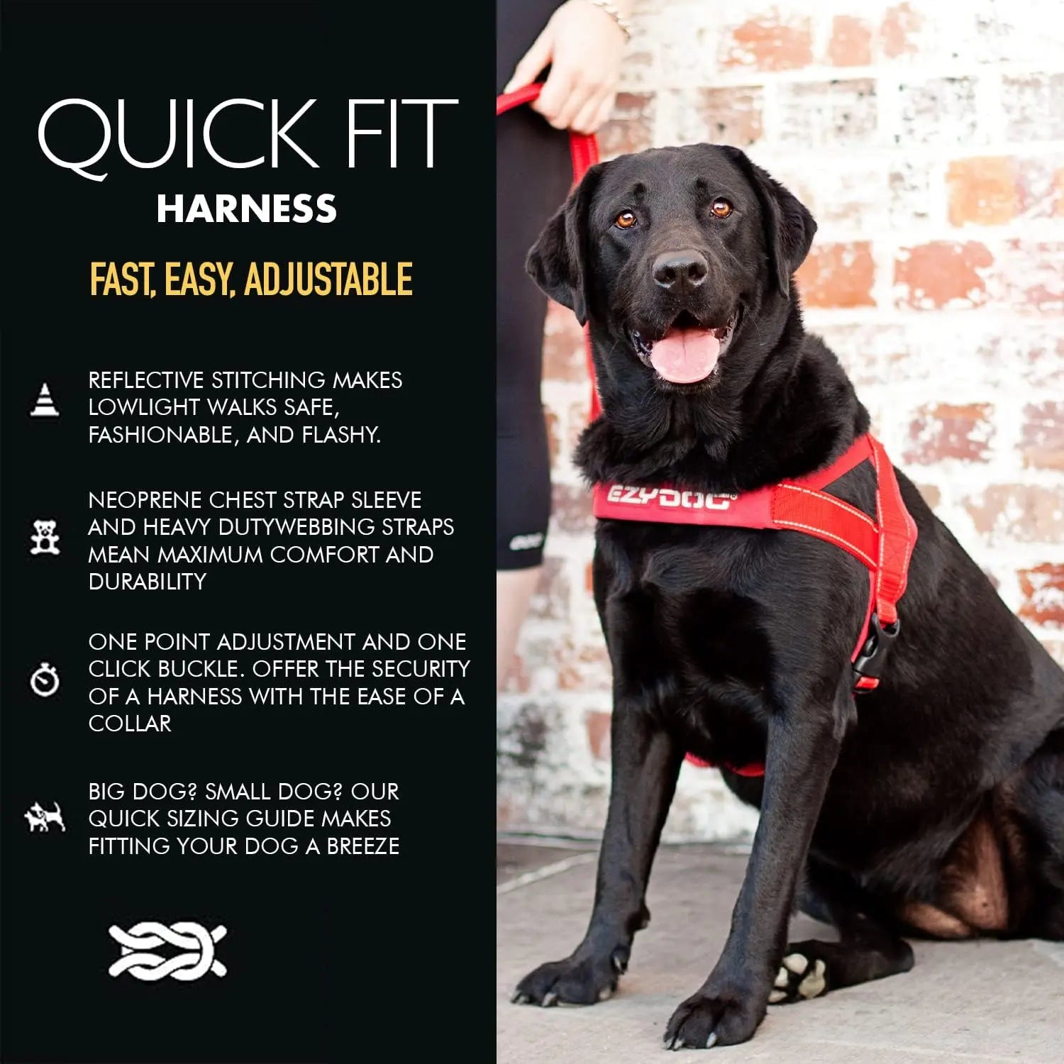 Ezydog no pull harness best sale