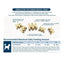 Fabrechew Himalayan Yak Cheese Dog Dental Treats Puppia