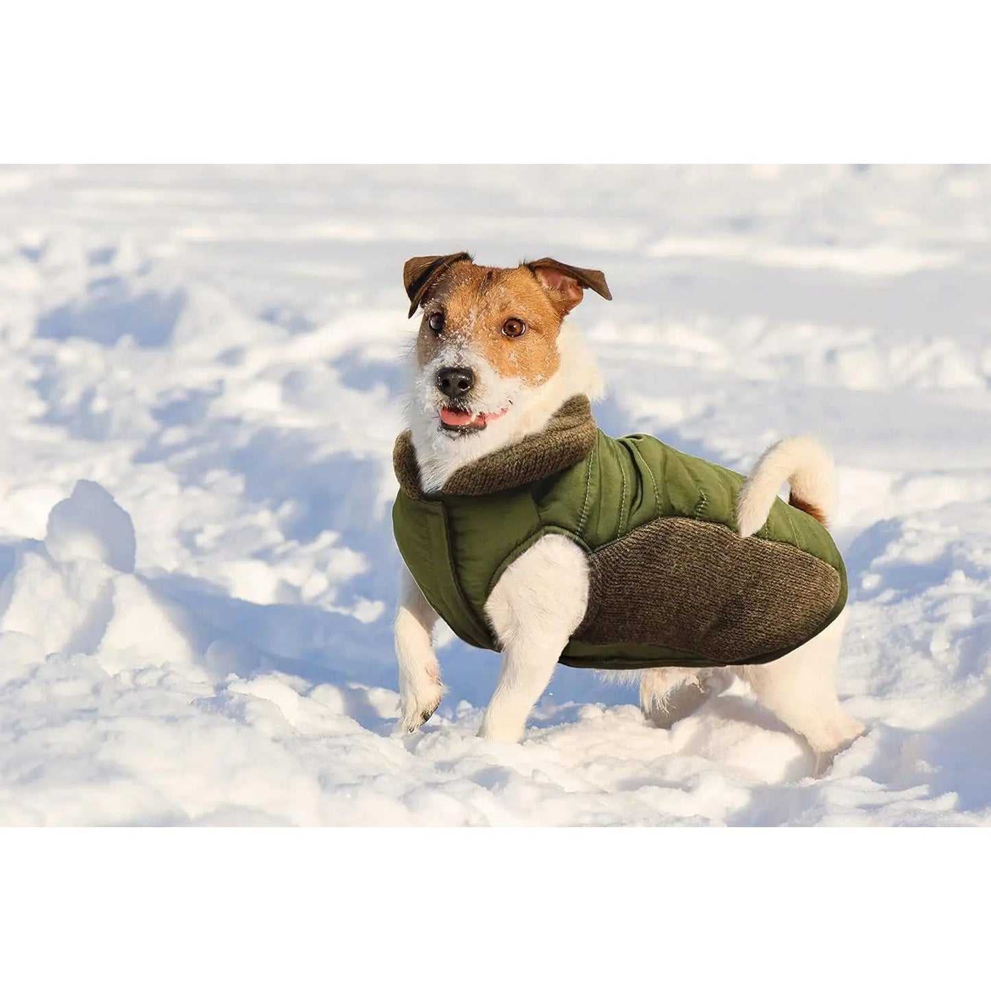 Fashion Pet Sweater Trim Puffy Coat Reversible Olive Fashion Pet CPD