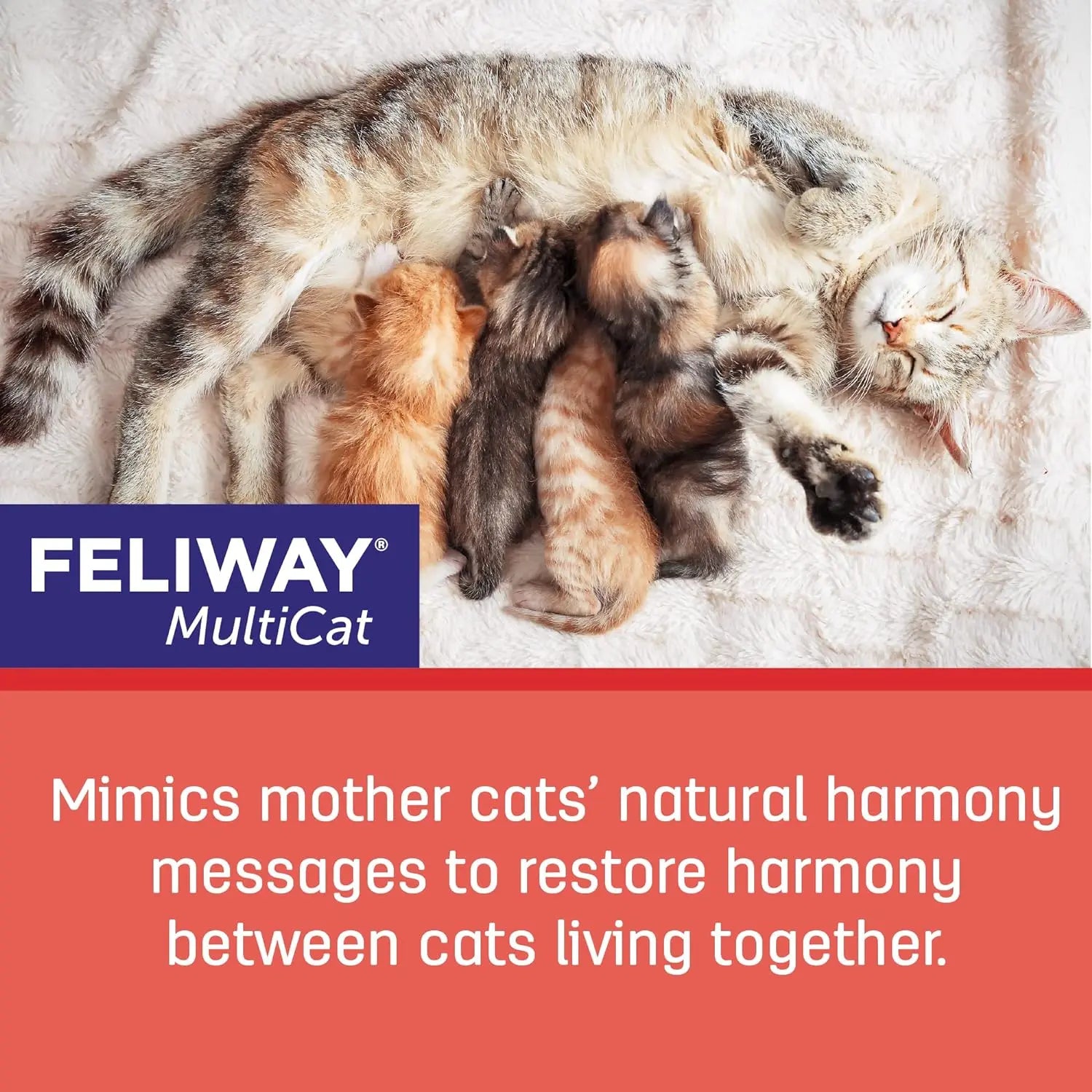 Feliway MultiCat Calming Pheromone Diffuser 30 Day Starter Kit 48 mL Feliway