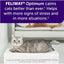 A gray cat relaxes on a white cushion in a bright room, watching the camera. In the back, someone sits on a couch. Text above features Feliway Optimum Enhanced Calming Pheromone 30-day Refill to help manage cats’ stress-related behaviors.