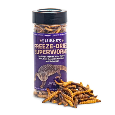 Fluker's Freeze-Dried Superworms Reptile Treats Fluker s