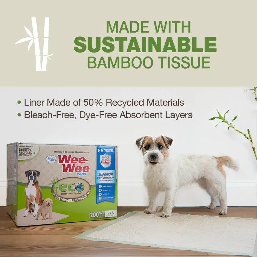 A small dog stands by a Four Paws Wee-Wee Superior Performance Eco Bamboo Dog Pee Pads box. The packaging notes pads made with sustainable bamboo, 50% recycled materials, and bleach- and dye-free absorbent layers.