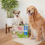 A small white and brown dog sits on a box of Four Paws Wee-Wee Superior Performance Eco Bamboo Dog Pee Pads next to a golden retriever; both are on a beige pad in a bright room with a potted plant.