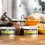 Four Star Shredded Turkey in Gravy Entree Canned Cat Food 12 / 5.5 oz Fromm