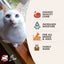 Fromm Cat-A-Stroni Lamb & Vegetable Wet Cat Food 12 / 5.5 oz Fromm