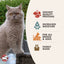Fromm Four Star Chicken & Salmon Pate Wet Cat Food 12 / 5 oz Fromm