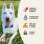 Fromm Four Star Nutritionals Shredded Turkey in Gravy Entrée Wet Dog Food 12 / 12 oz Fromm