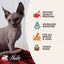 Fromm Four Star Salmon & Tuna Pate Cat Food 12 / 5.5 oz Fromm