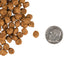 Fromm Gold Indoor Cat Food Fromm