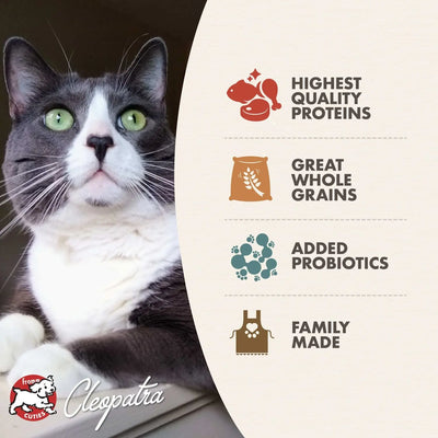 Fromm Healthy Weight Gold Food for Cats Fromm
