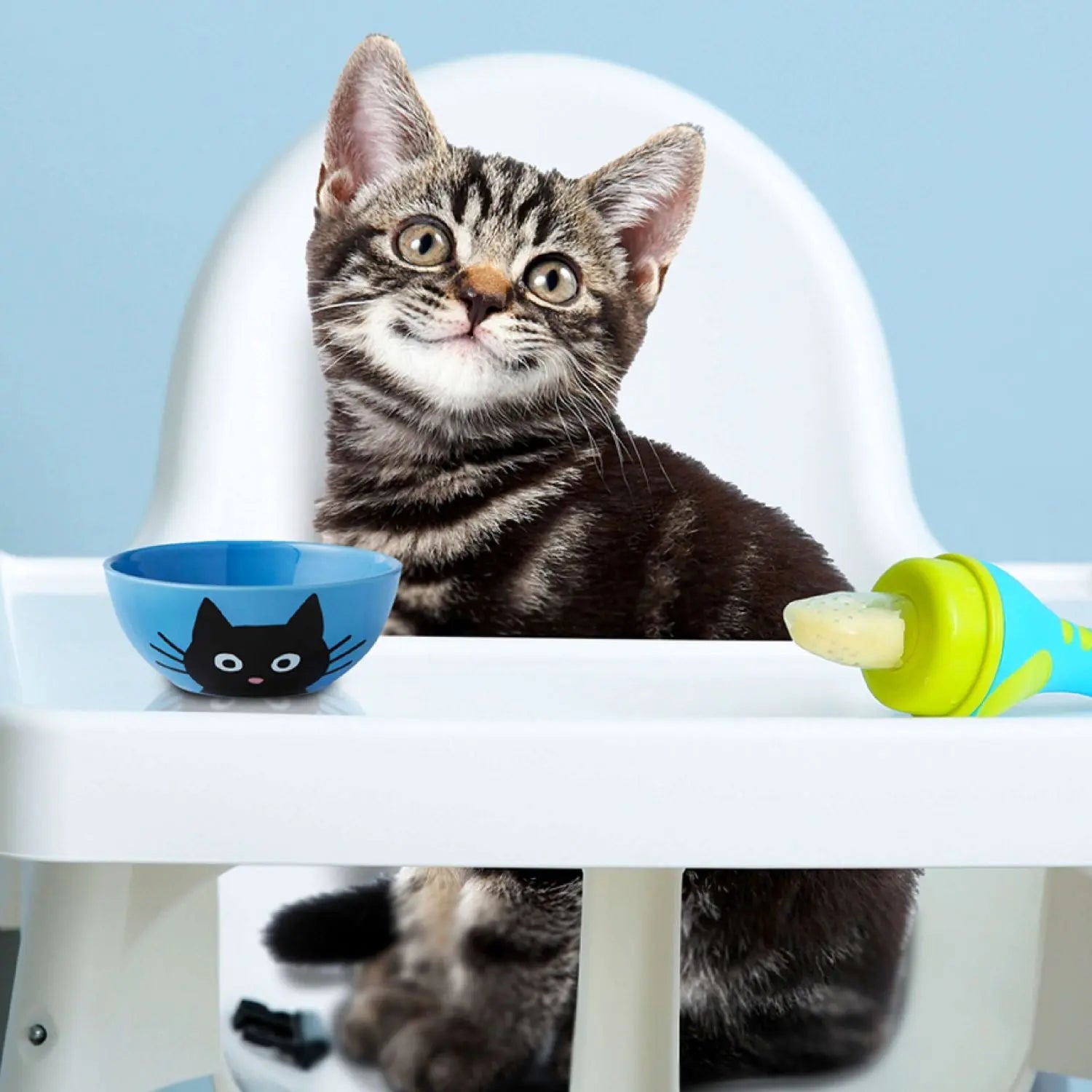 Fromm Kitten Gold Food for Cats Fromm