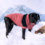 GF Pet Catalyst Dog Sweater GF Pet