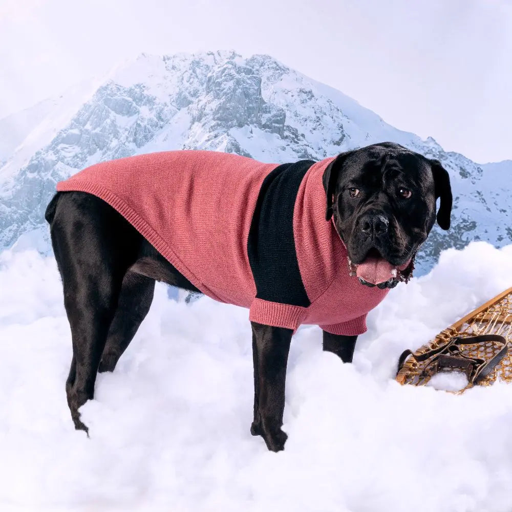 GF Pet Catalyst Dog Sweater GF Pet