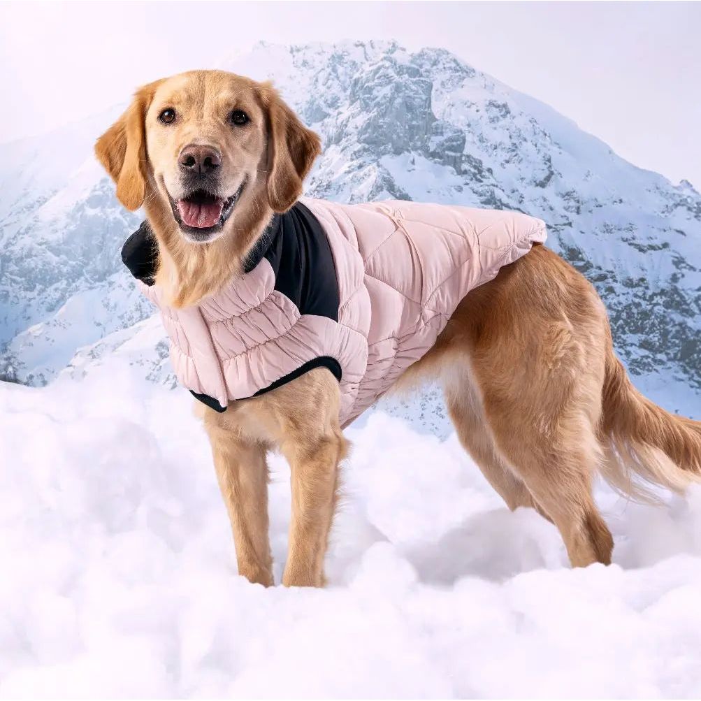 GF Pet Diamond Dog Puffer Jacket GF Pet