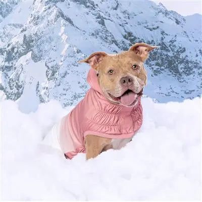 GF Pet Good Vibes Dog Hoodie GF Pet