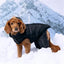 GF Pet Odyssey Dog Snowsuit GF Pet