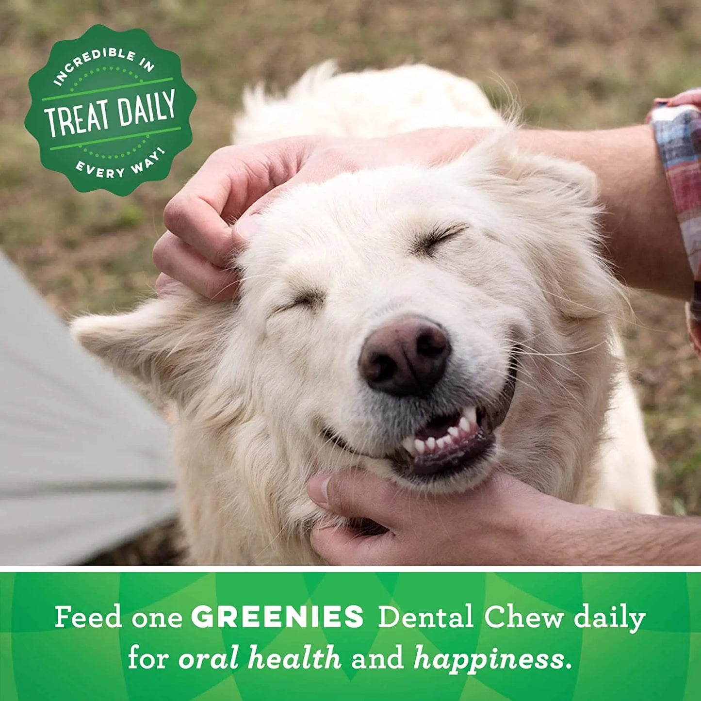 GREENIES Original Natural Dog Dental Care Chews Oral Health Dog Treats Greenies