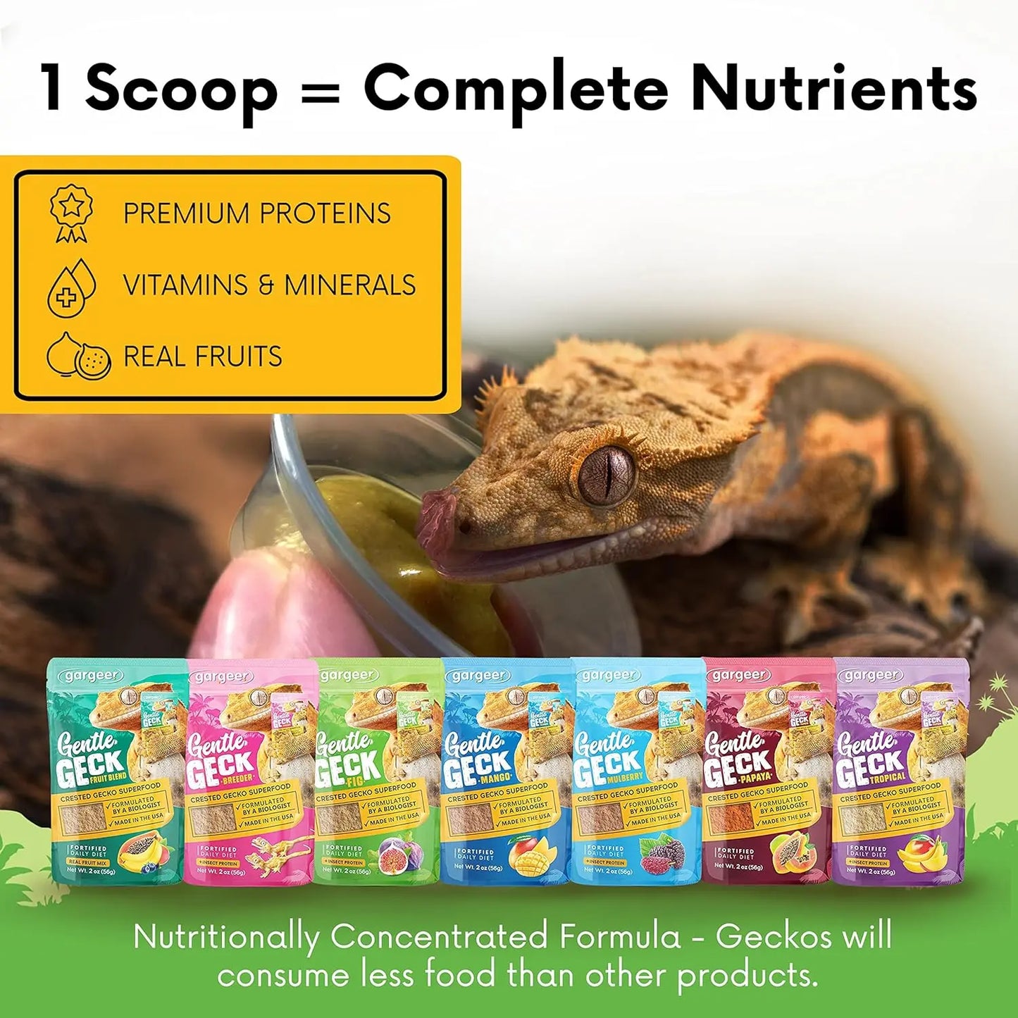 Gargeer Complete Fig & Insects Protein Crested Gecko Food Gargeer