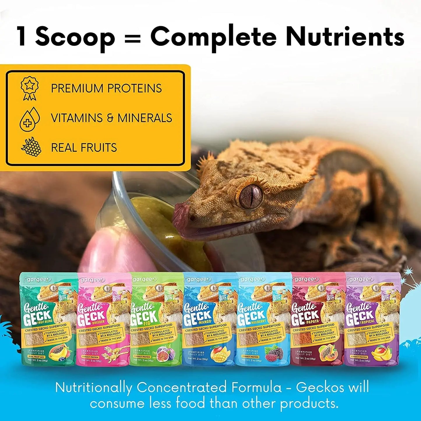 Gargeer Complete Mulberry & Insects Protein Crested Gecko Food Gargeer