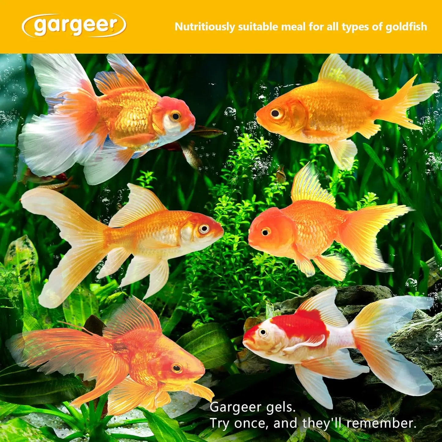 Gargeer Premium Goldfish Food for Advanced Breeders 3oz Gargeer