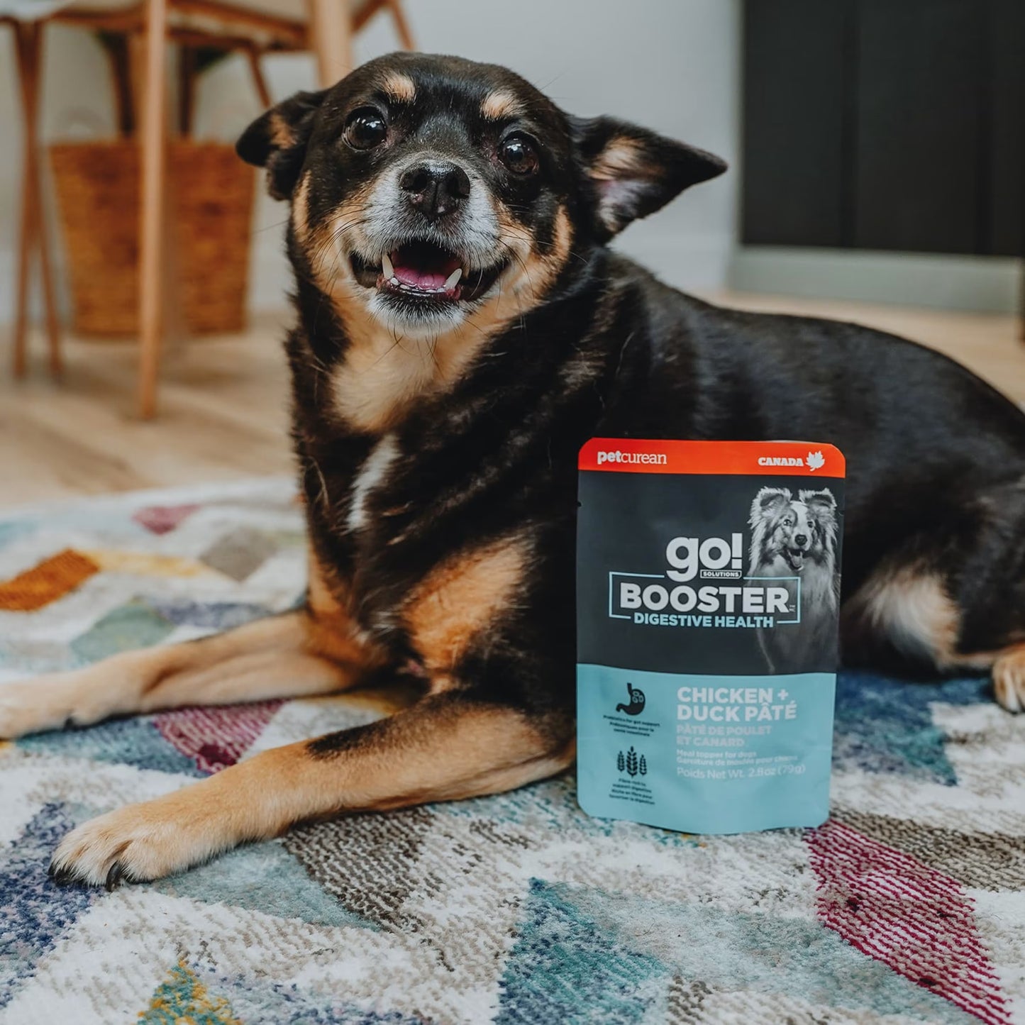 Go! Solutions Booster Digestive Health Chicken & Duck Pate Wet Dog Food 24ea/2.8 oz Petcurean Pet Foods