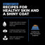 Go! Solutions Skin + Coat Care Shredded Chicken Dog Food 12ea/12.5 oz Petcurean Pet Foods